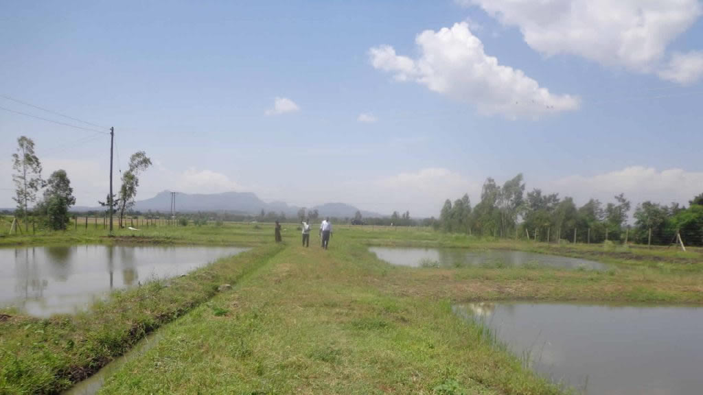 SLIDE2-1024×576